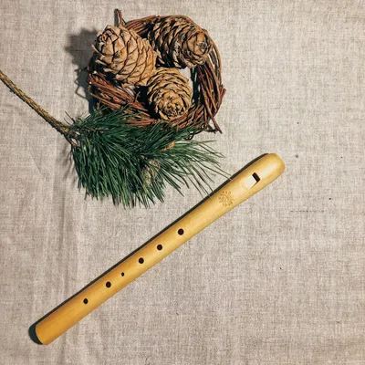 Комплект: свирель +мундштук +тетрадь самоучитель - Музыкальные инструменты  «Четыре Четверти»