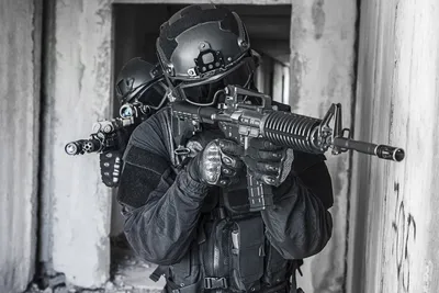 Police SWAT house entry stock image. Image of special - 19849429