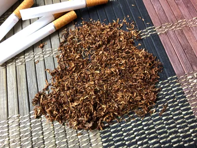 Табак душистый Орешка Табак2 - купить по выгодным ценам в интернет-магазине  OZON (407319967)