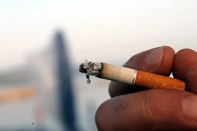 Табак Дюбек, 0.1 г купить 〛по выгодной цене в Киеве и Украине | Фото |  Отзывы