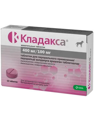 Хондропротектор для собак Биоцентр Чин Артрогликан №30 таблетки купить по  цене 581 ₽ с доставкой в Москве и России, отзывы, фото