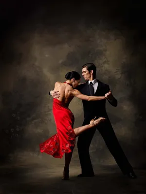 Passionate Couple Of Dancers Performing Tango On White Background  Фотография, картинки, изображения и сток-фотография без роялти. Image  135705355