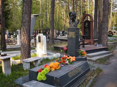 Могила Татьяны Снежиной в Новосибирске: как выглядит, кто ее посещает -  KP.RU