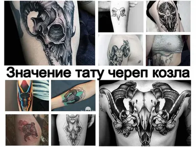 Череп на фотке: оригинальное изображение для выбора татуировки