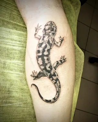 Картинка татуировки ящерицы на руке в стиле биомеханики