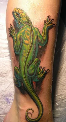 Фото татуировки ящерицы на руке с элементами фэнтези