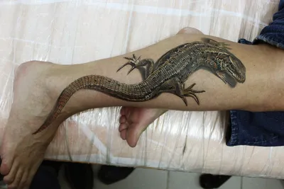 Татуировка ящерицы на руке: изображение на белом фоне