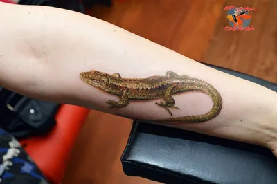 Изображение татуировки ящерицы на руке в монохромном стиле