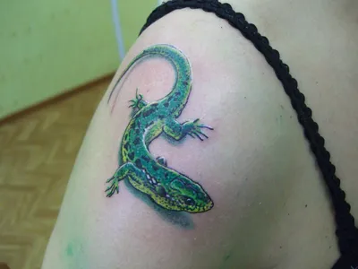 Картинка татуировки ящерицы на руке в стиле келтики