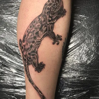 Фото татуировки ящерицы на руке с эффектом размытия