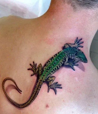 Картинка татуировки ящерицы на руке в стиле готики