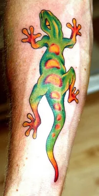Фото татуировки ящерицы на женской руке