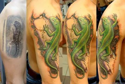 Фото татуировки ящерицы на руке с геометрическими узорами