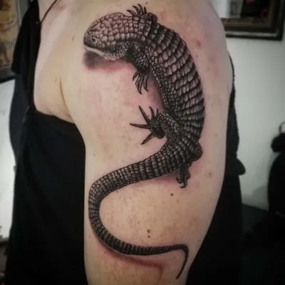 Татуировка ящерицы на руке: изображение в JPG
