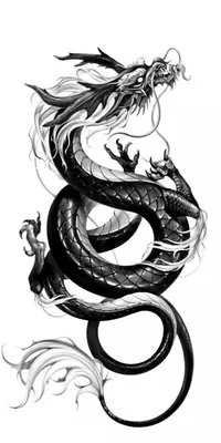 Тату китайский дракон (42 фото) - значение татуировки, эскизы 2023
