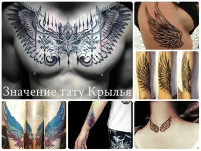 Крылья на руках: оригинальные татуировки на фото