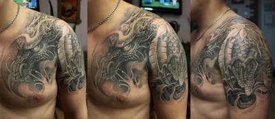 Фото татуировки на руке дракона: WebP