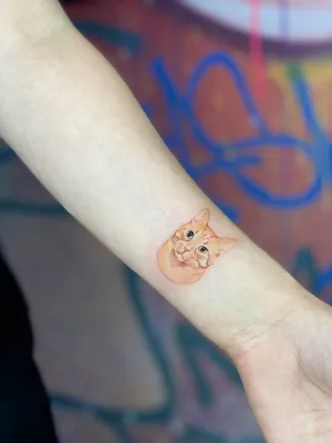 Переводные татуировки временные для взрослых. Тату мини бабочки на лицо и  запястье для девушек- купить по выгодной цене в интернет-магазине OZON  (695881479)