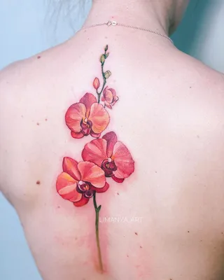 Тату орхидея на руке: изображение с множеством деталей для любителей татуировок