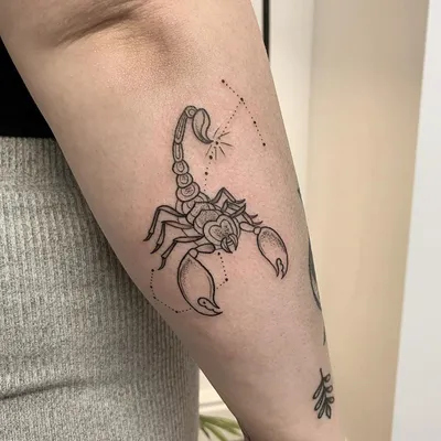 Картинка тату скорпиона на руке: скачать бесплатно