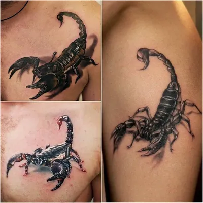 Изображение тату скорпиона на руке в формате WebP