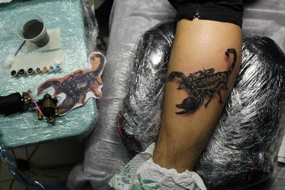 Фотография тату скорпиона на руке для инспирации