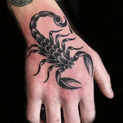 Тату скорпион на руке: изображение для дизайнеров