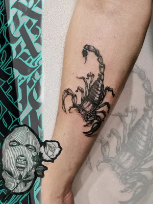 Фотография тату скорпиона на руке для тату-конкурсов