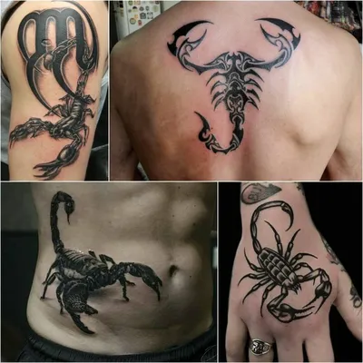 Картинка тату скорпион на руке для вашего телефона
