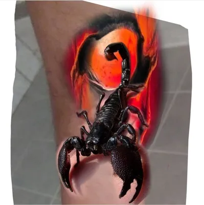 Фото тату скорпион на руке: выберите свой стиль