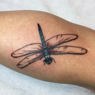 Татуировка стрекозы на руке: красивое изображение с использованием солнечных лучей