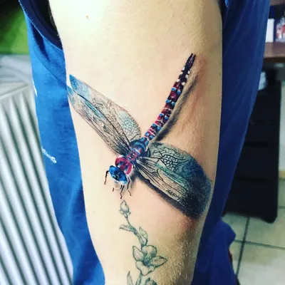 Фото татуировки стрекозы на руке: изображение с использованием красочных фильтров