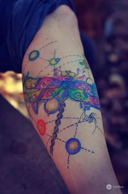Татуировка стрекозы на руке: фотография с эффектом двойной экспозиции