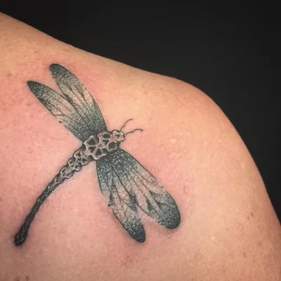 Татуировка стрекозы на женской руке: красивое изображение для загрузки 