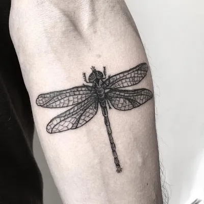 Татуировка стрекозы на руке: красивая фотография для использования на сайте 