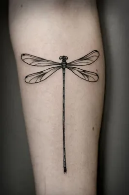 Фото татуировки стрекозы на руке: бесплатное изображение для скачивания 