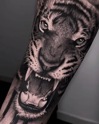 Фото тату тигра на руке: впечатляющее изображение в формате WebP