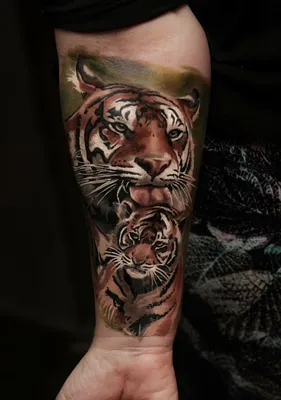 Картинка тату тигра на руке: символический образ для любителей татуировок