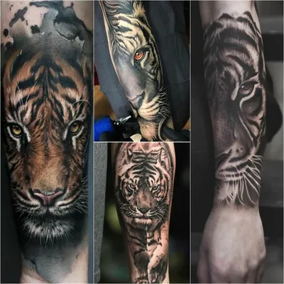 Тату тигр на руке: детальный кадр для любителей татуировок