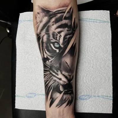 Изображение тату тигра на руке: идеальный выбор для любителей животных