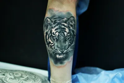 Фото тату тигра на руке: оригинальный и необычный дизайн