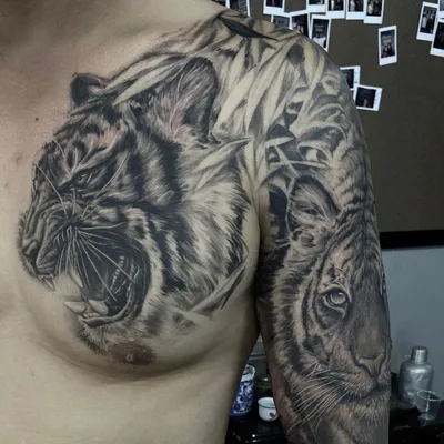 Изображение тату тигра на руке: детальный кадр для любителей татуировок