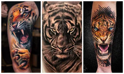 Изображение тату тигра на руке: прекрасный образ для мужчин