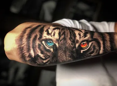Картинка тату тигра на руке для дизайнеров