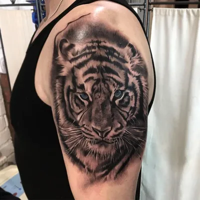 Изображение тату тигра на руке в монохромном стиле