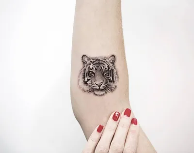 Изображение тату тигра на руке в женском стиле