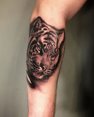 Изображение тату тигра на руке: идеальный выбор для татуировочных студий