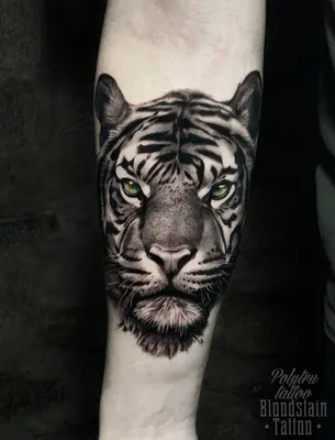 Изображение тату тигра на руке в реалистичном стиле