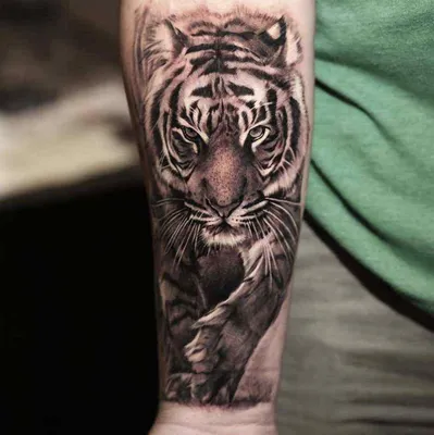 Изображение тату тигра на руке: вдохновение для любителей животных