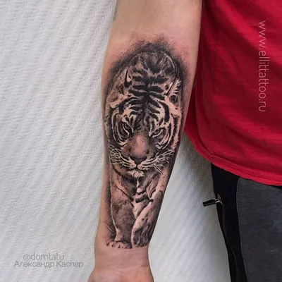 Фотография тату тигра на руке: эффектный вариант для татуировки